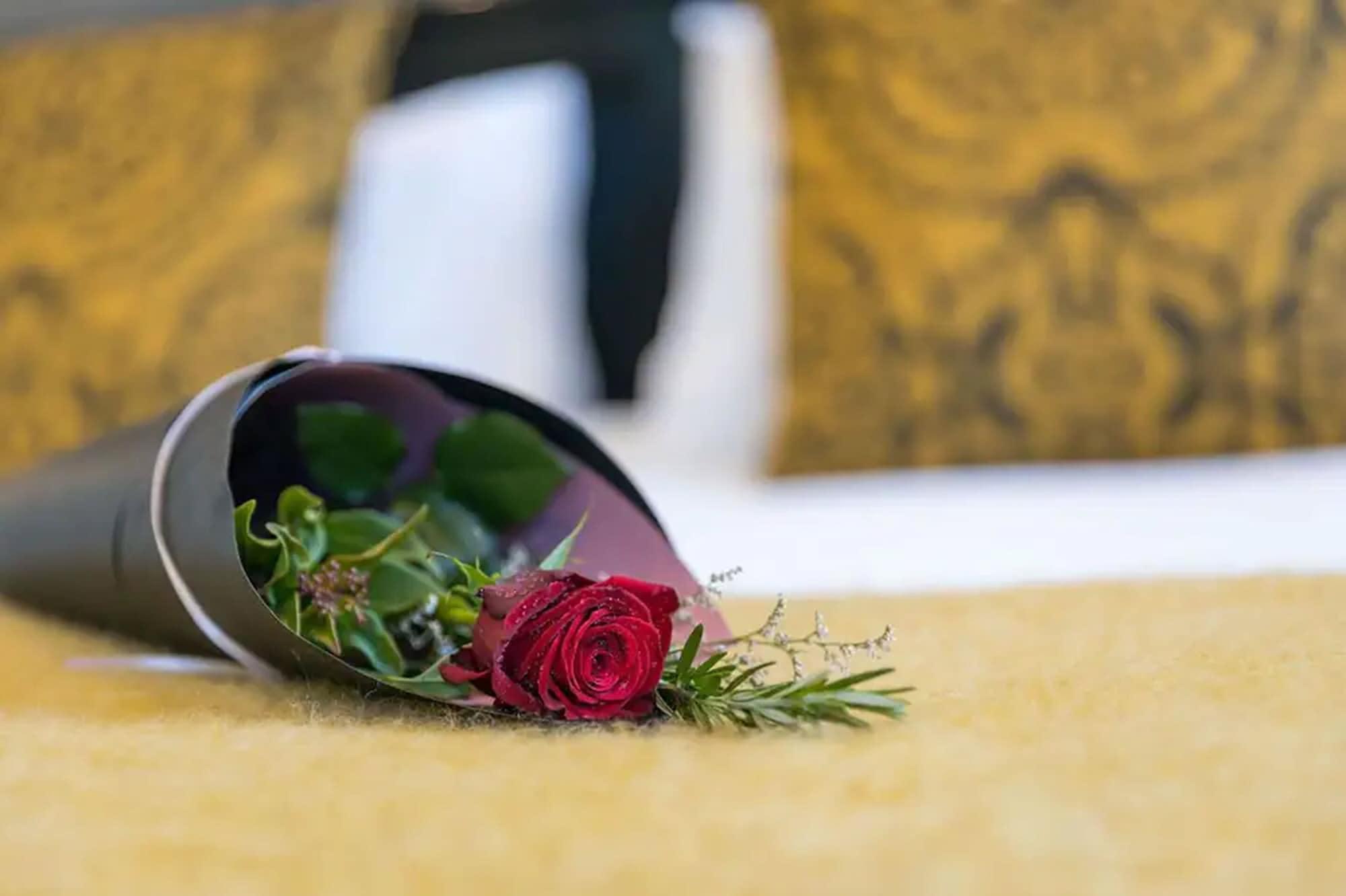 パラッツォ モーター ロッジ ネルソン エクステリア 写真 A rose in a vase